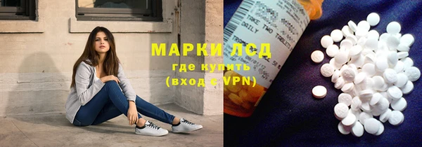 мдпв Елабуга