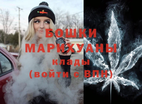 мдпв Елабуга