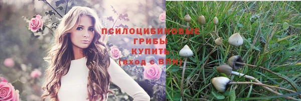 мдпв Елабуга