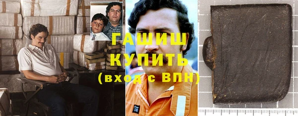 мдпв Елабуга