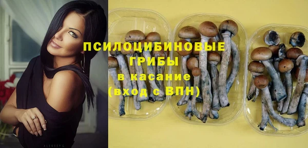 ALPHA-PVP Дмитровск