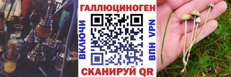 Псилоцибиновые грибы Magic Shrooms  Новоалтайск 